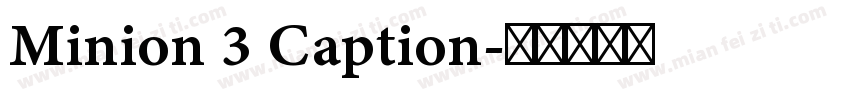 Minion 3 Caption字体转换